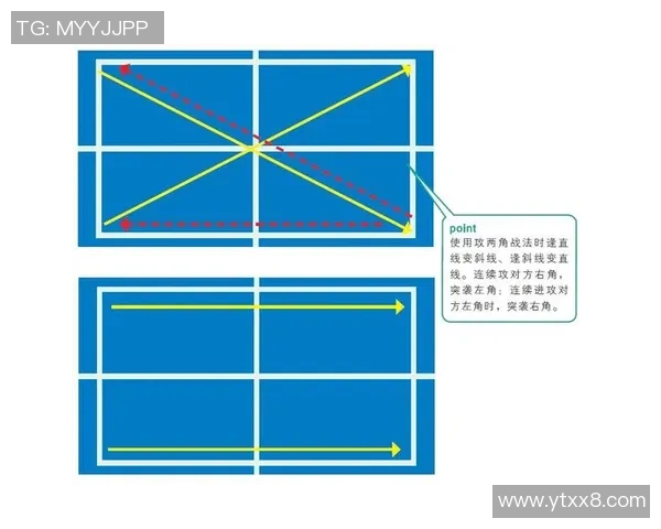 广州乒乓球队战术表现数据分析与优化策略探讨