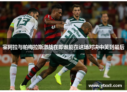 塞阿拉与帕梅拉斯激战在即谁能在这场对决中笑到最后