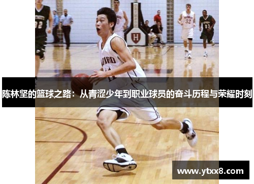 陈林坚的篮球之路：从青涩少年到职业球员的奋斗历程与荣耀时刻